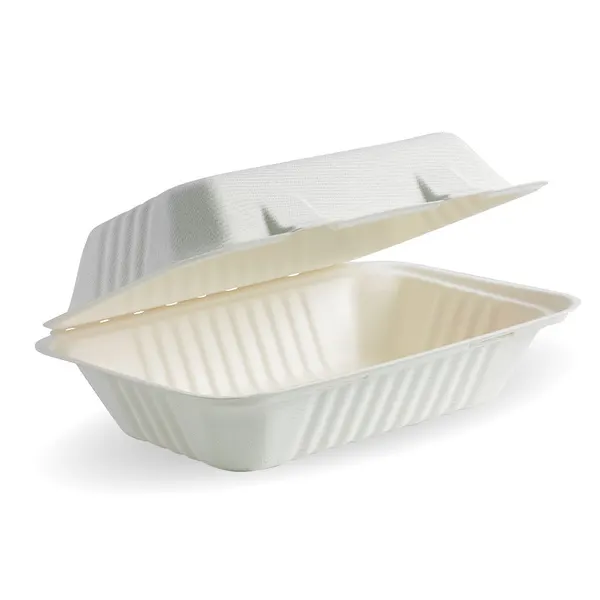 Sugarcane 9x6" Clamshell Lunch box 2x125 White